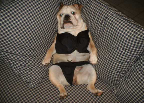 to je teda mazec:)
